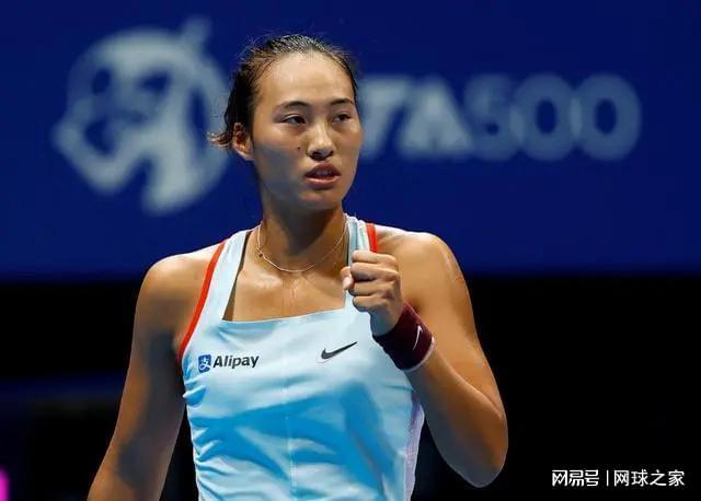 正是这种 正是这种